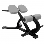 Nautilus Instinct 45 Degree Back Extension
